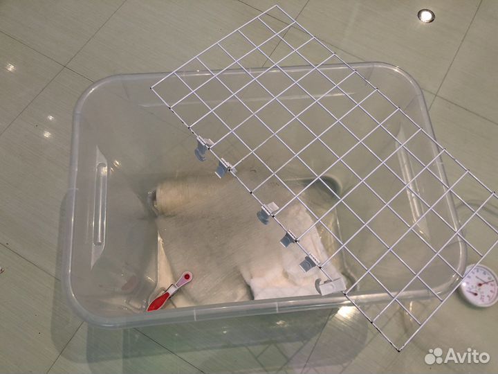 Ферма для выращивания бабочек большая