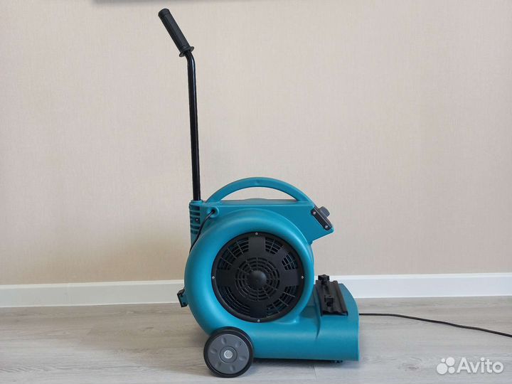 Аренда моющего пылесоса karcher