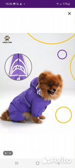 Дождевик для маленькой собаки Размер М