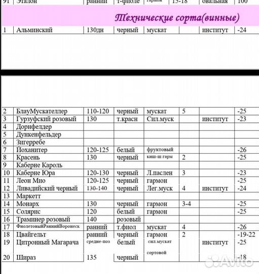 Черенки винограда столовых и технических сортов