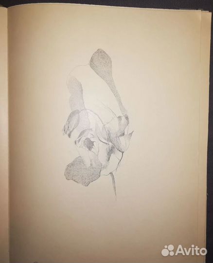 Книга Jaroslav Durych иллюстрации Прага 1927