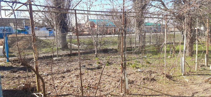 Дом 49,5 м² на участке 12,9 сот.