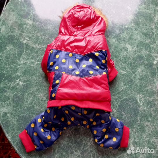 Зимняя одежда для собак мелких пород