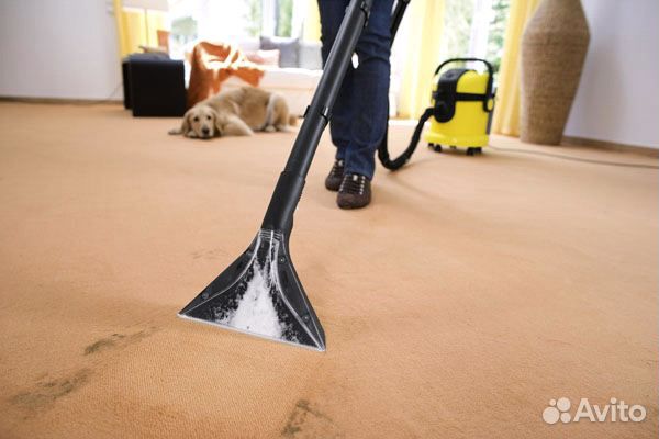 Karcher SE 4002