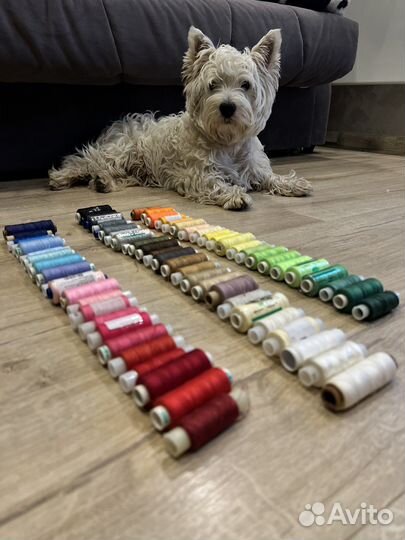 Нитки набор. весь спектор цветов