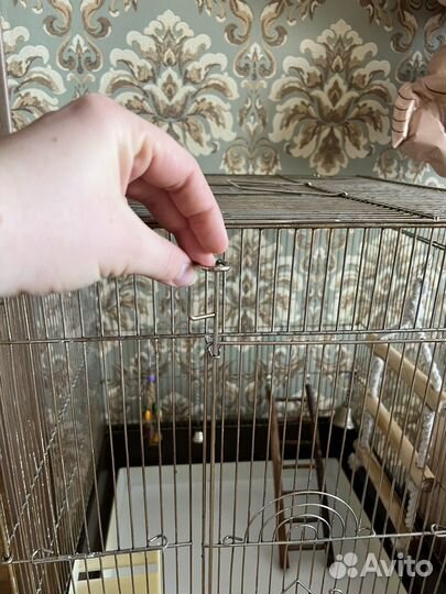 Продаю клетку для попугая