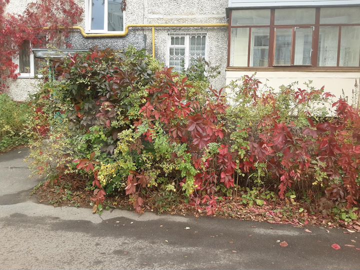 2-к. квартира, 49,3 м², 1/5 эт.