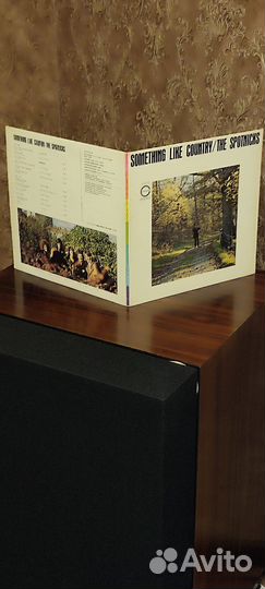 The Spotnicks – Something Like Country / Y-1013