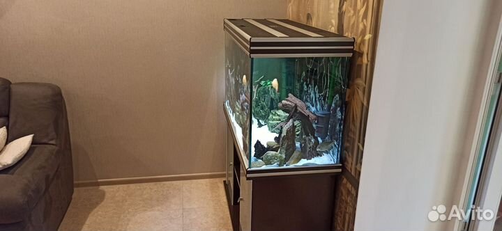 Аквариум Aquatlantis с оборудованием Eheim