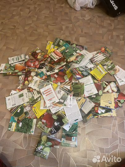 Семена цена за пакет