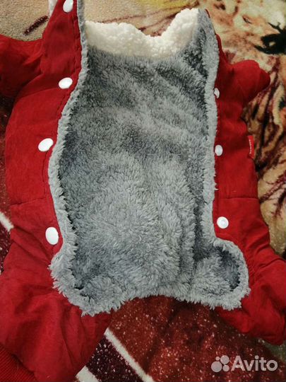 Зимний комбинезон на маленькую собачку