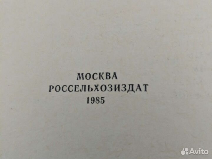 Как построить сельский дом