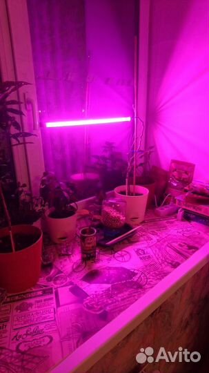 Фитосветильник для растений Uniel ULI-P20-18W