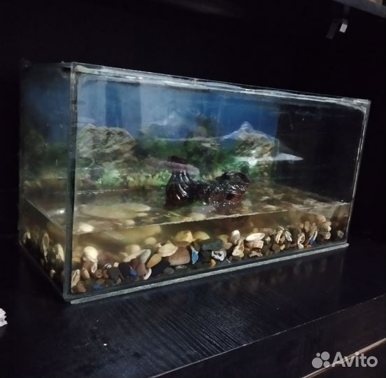 Аквариум