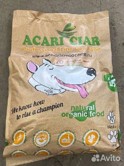 Acari Ciar Junior