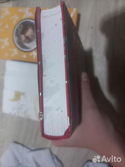 Благословение небожителей маньхуа