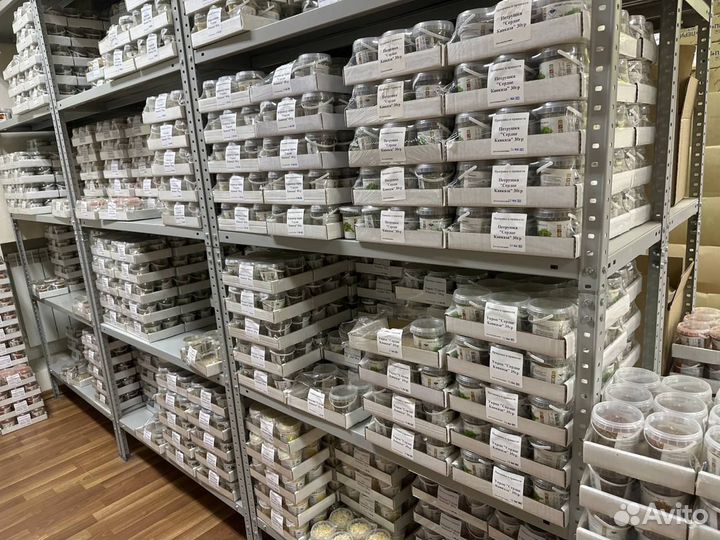 Специи и приправы оптом более 50 видов