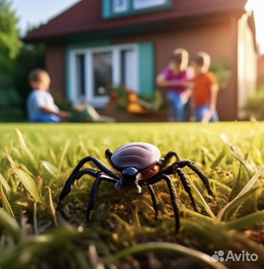 Обработка участка от клещей