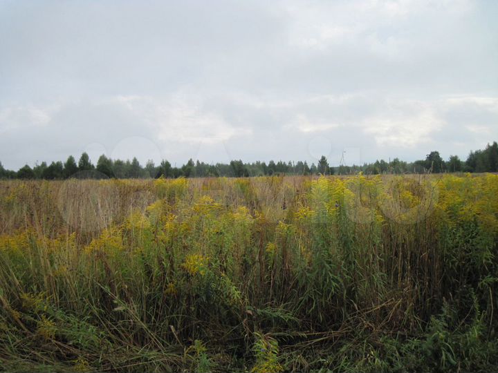 Участок 3,4 га (СНТ, ДНП)