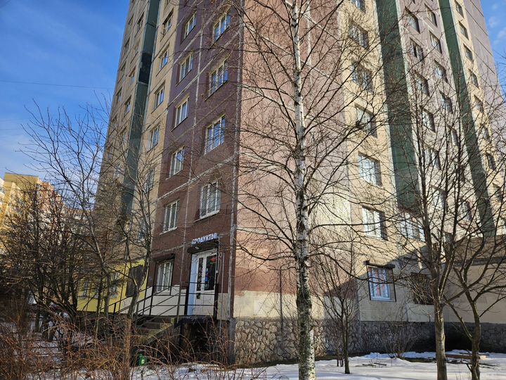 Торговая площадь, 61.7 м²