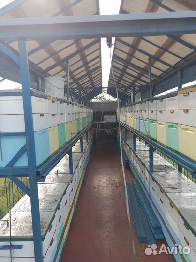 Полуприцеп пасека на 100 пчёлосемей