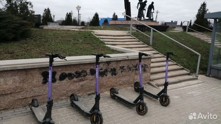 Элект.сам-ты Ninebot G30 (готовый бизнес) 160шт