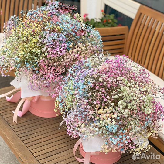Коробки с Радужной Гипсофилой. Самовывоз/Доставка