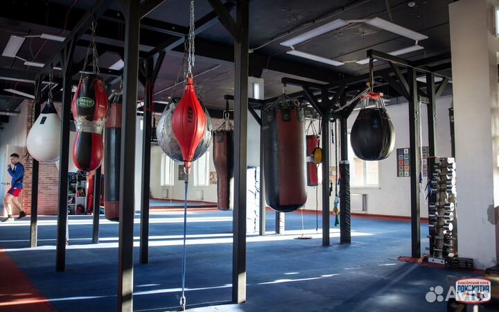 Индивидуальные и групповые тренировки по боксу