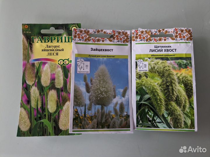 Семена зайцехвост,лагурус яйцевидный,щетинник