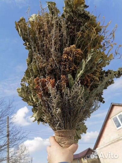 Дубовые веники для бани (Подарочные)