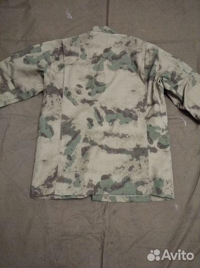 Летняя форма зеленый мох