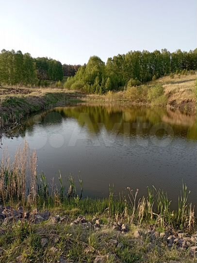 Участок 100 сот. (СНТ, ДНП)