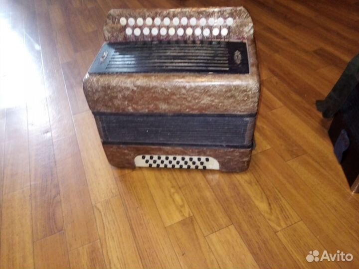 Гармошки соль