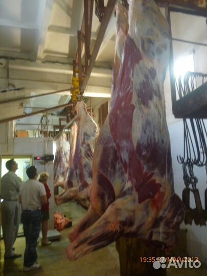 Мясо говядины