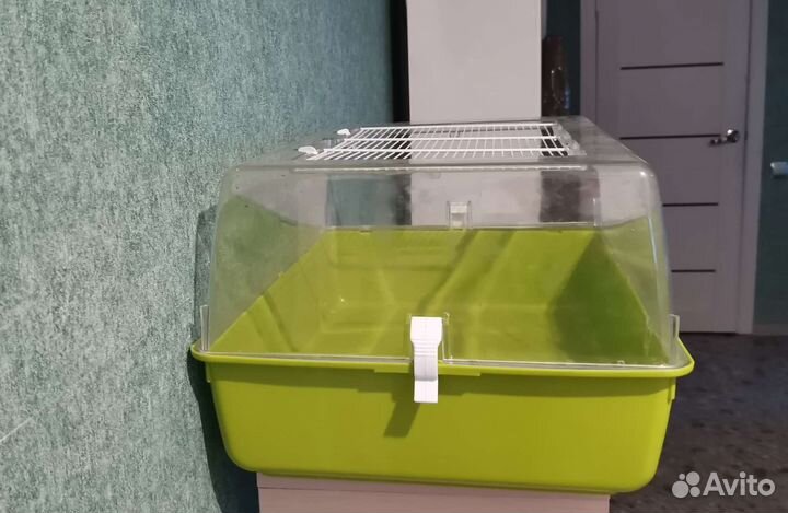 Террариум большой