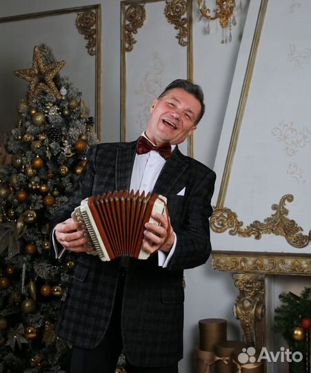 Поющий баянист, автор-исполнитель, аккомпаниатор