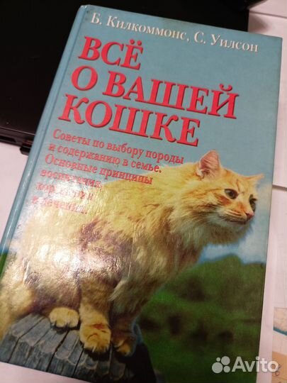 Книги о кошках