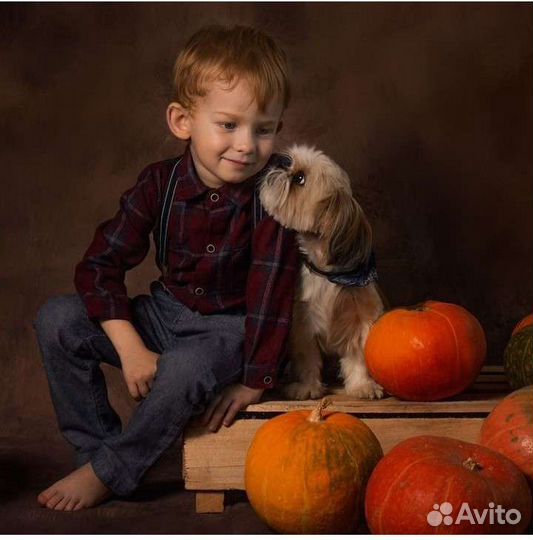 Фотограф, фотосессия