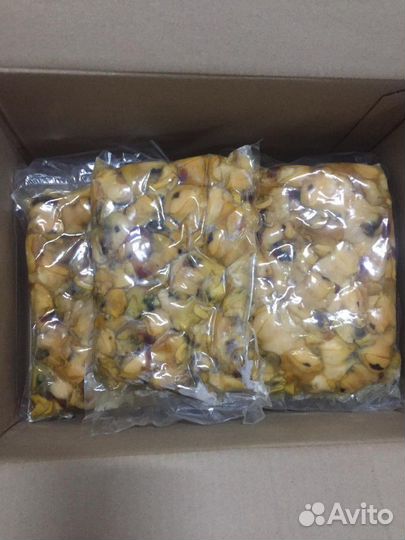 Рапан Черноморский