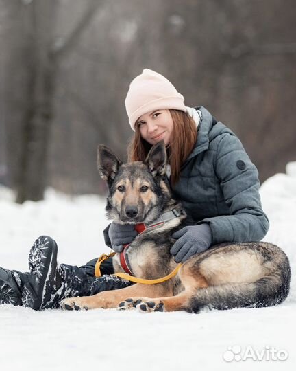 Обнимательный Акелла ищет дом