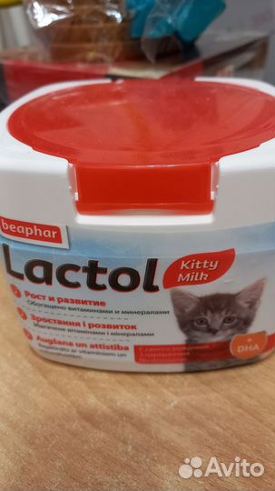 Молочная смесь для котят