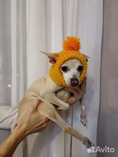 Вязаная шапочка для собак