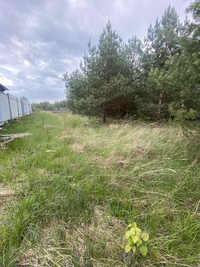 Участок 15 сот. (ИЖС)