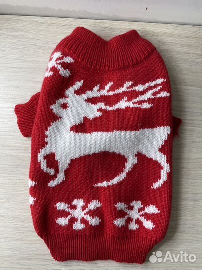 Одежда для собак мелких пород