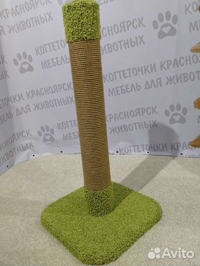 Когтеточка