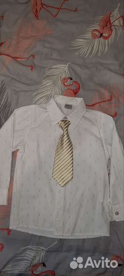 Пиджак+рубашка+галстук