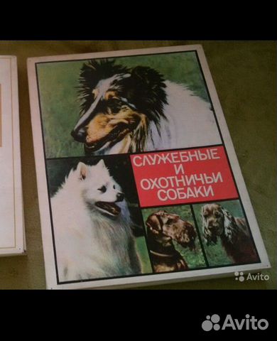 Спички коллекционные