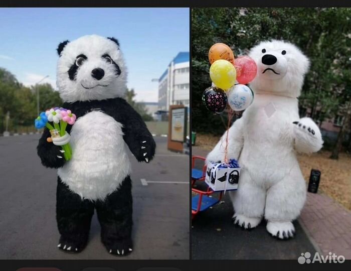 Поздравление от Медведя