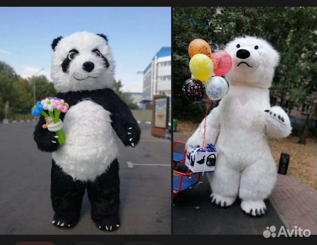 Поздравление от Медведя