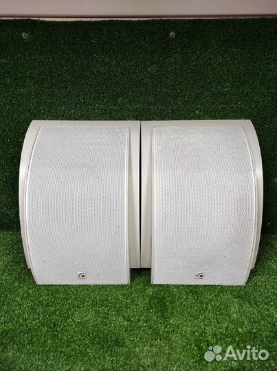 Громкоговоритель настенный Roxton WP-06T